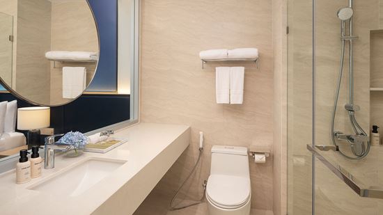 deluxe-pool-terrace_bathroom
