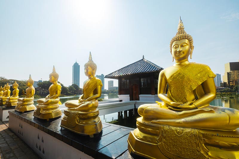 Buddha Statues at the Gangaramaya Temple