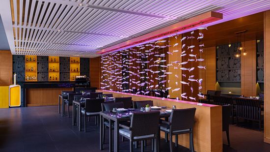 aqua-eatery-and-bar-interior